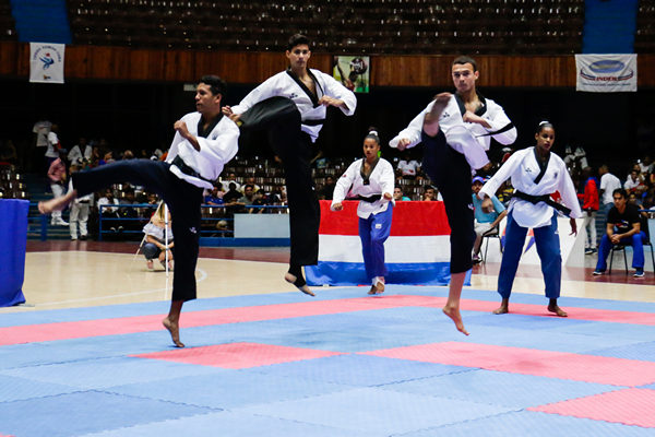 gala de artes marciales