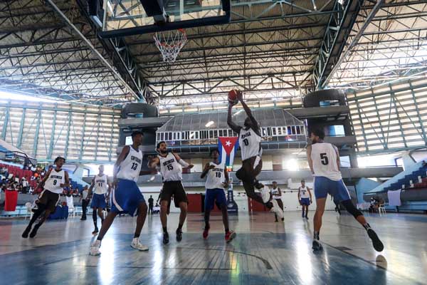 Liga Superior de Baloncesto