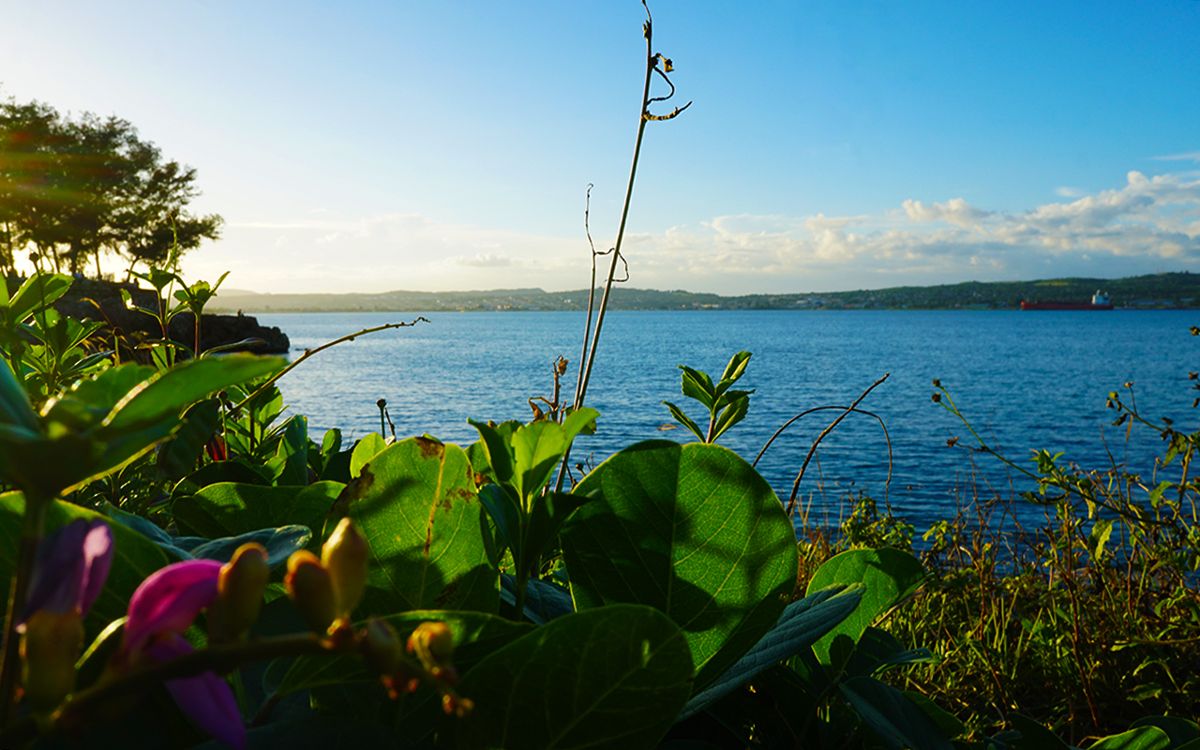 Bahía de Matanzas