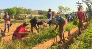 Trabajadores matanceros en la jornada de trabajo voluntario