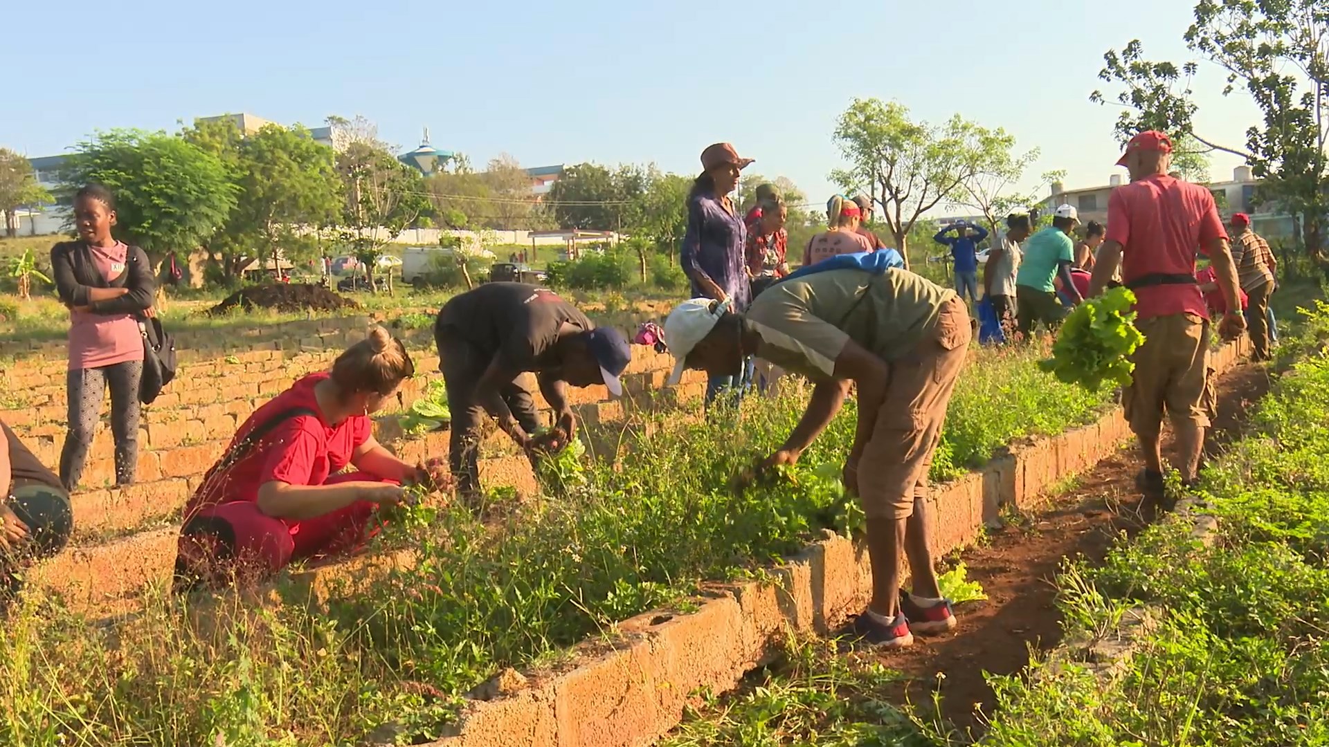 Trabajadores matanceros en la jornada de trabajo voluntario