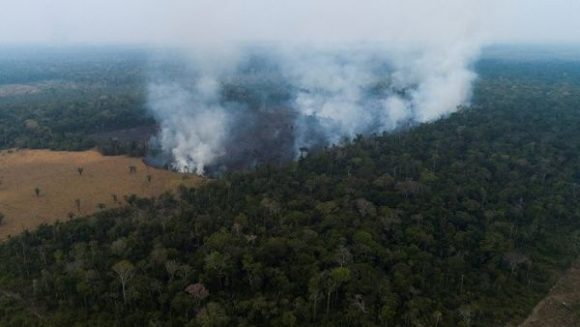 Amazonía brasileña