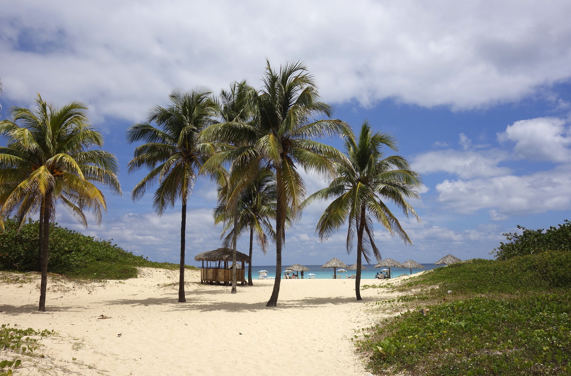 La protección de la duna, y la reforestación con especies locales, son acciones que se desarrollan en Varadero como parte de la Tarea Vida. Foto: Pixabay