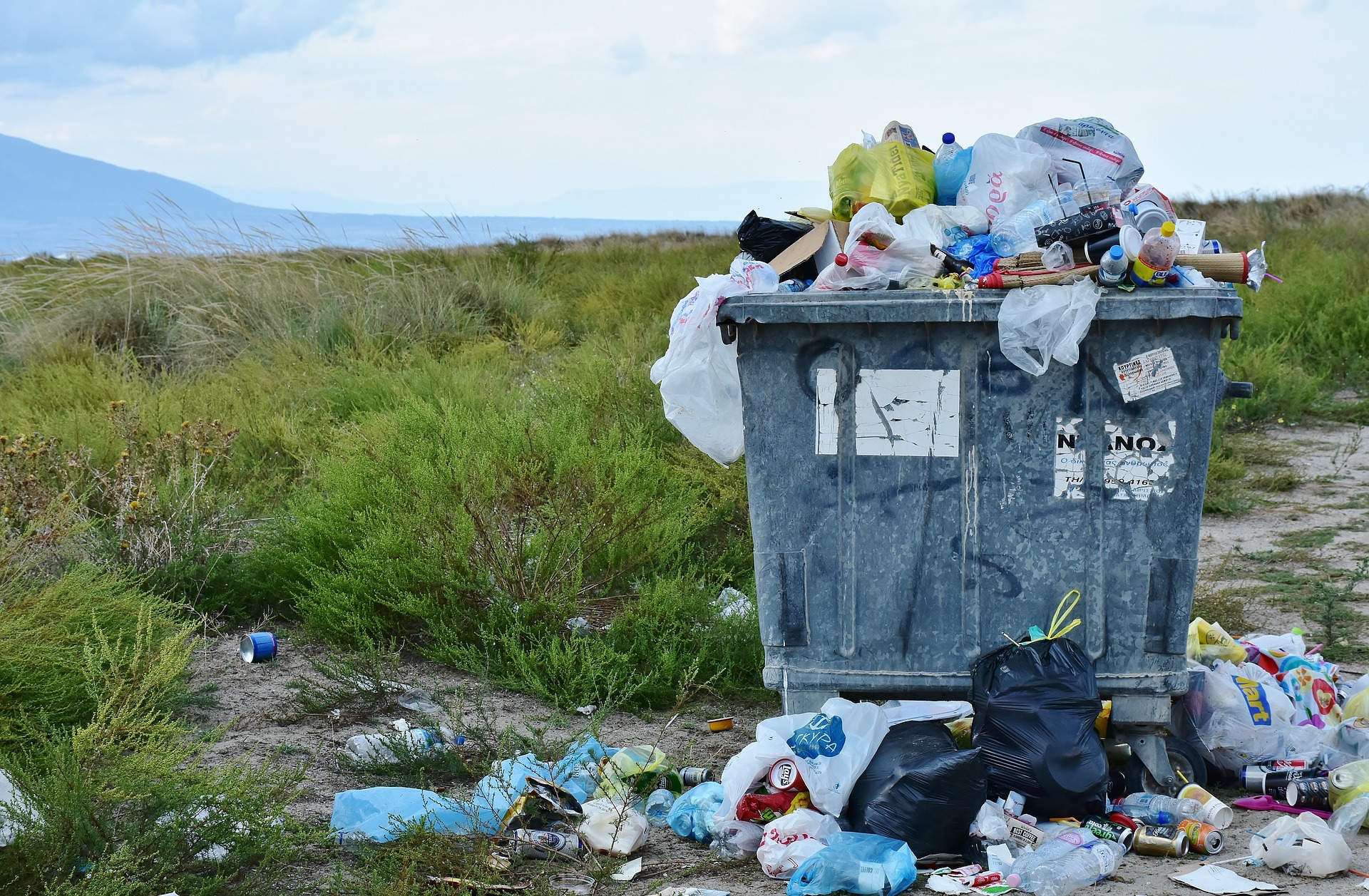 El Día Internacional Libre de Bolsas de Plástico fue instaurado por ambientalistas y organizaciones de la sociedad civil. Foto: -Rita-👩‍🍳 und 📷 mit ❤ / Pixabay