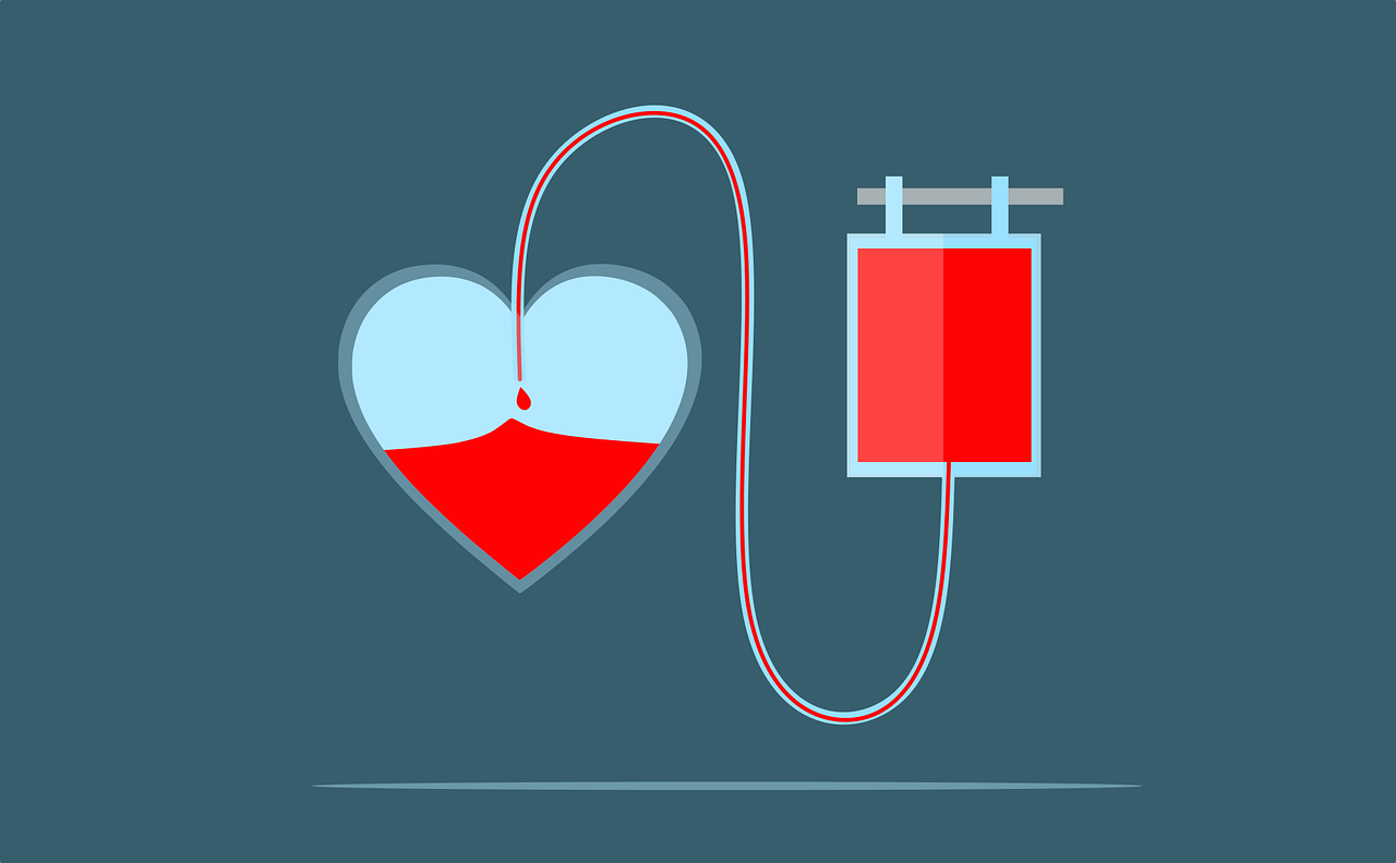 El Día Mundial del Donante de Sangre conmemora el nacimiento de Karl Landsteiner. Imagen de Mohamed Hassan/Pixabay