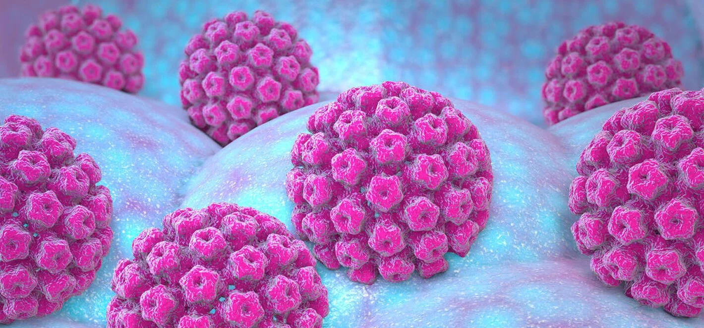 Virus del Papiloma Humano