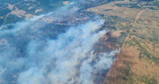 incendios forestales