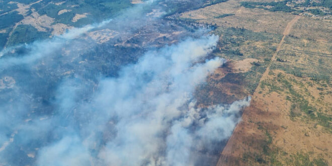 incendios forestales