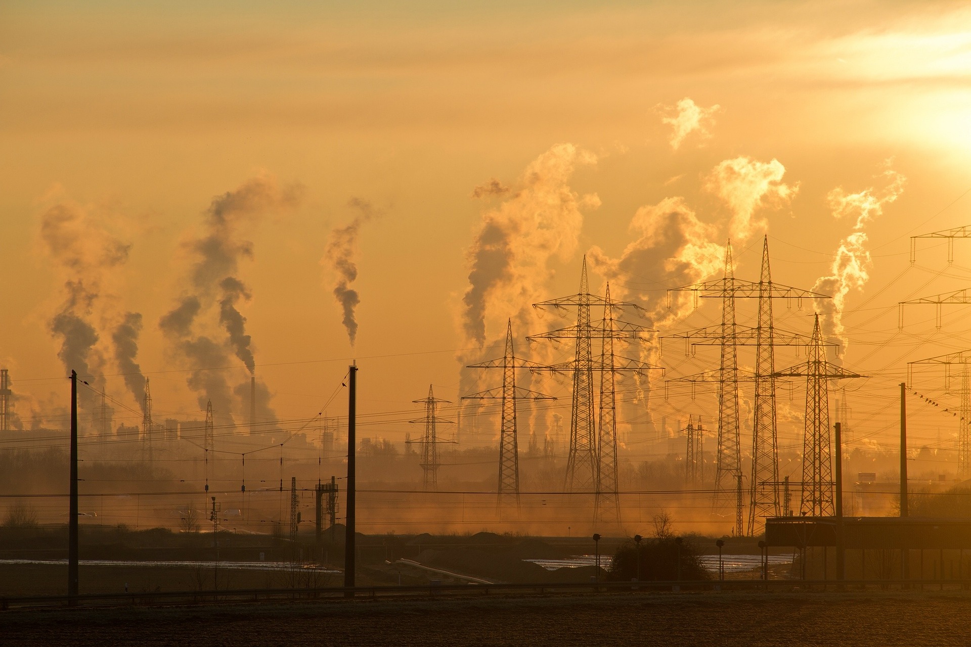El Día Mundial del Medio Ambiente es una celebración global para reflexionar sobre el impacto de la actividad humana en el planeta. Foto: Pixabay