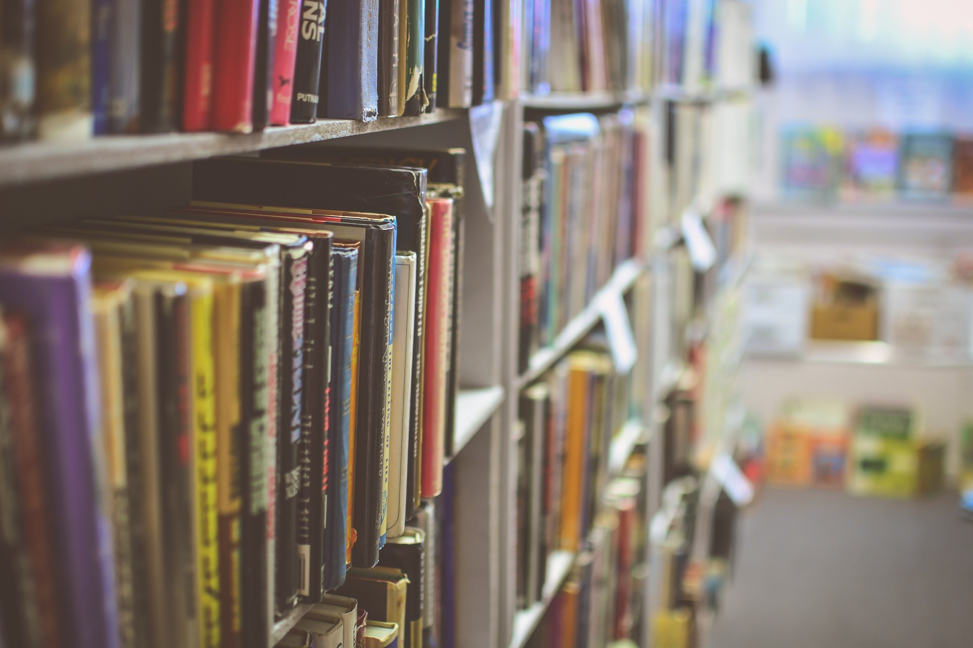 Las bibliotecas son puertas al mundo del conocimiento. Foto: StockSnap en Pixabay
